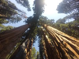Lesson #19: Judgement and Accountability