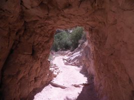 Lesson #36: Pushing Forward