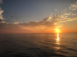 Lesson #39: God’s Warmth