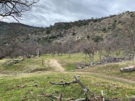 Lesson #17: Chastisement